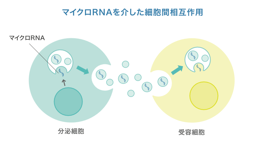 なぜ尿でがんがわかるの？
